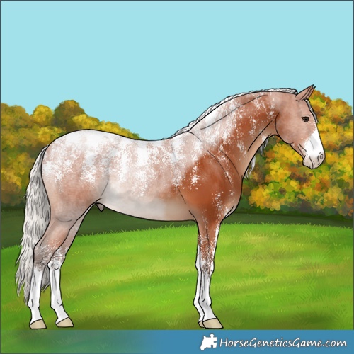 Horse Color:Powder White Silver Bay 