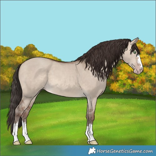 Horse Color:Sable Champagne Dun 