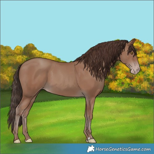 Horse Color:Classic Champagne 