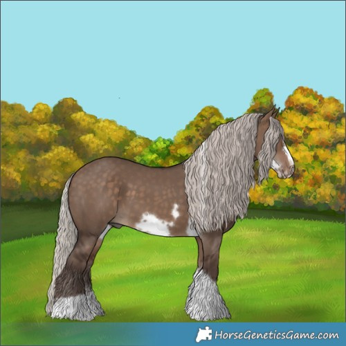 Horse Color:Silver Bay Dun Sabino Tobiano Frame Rabicano