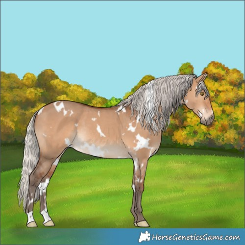 Horse Color:White Spotted Silver Brown Dun Rabicano 