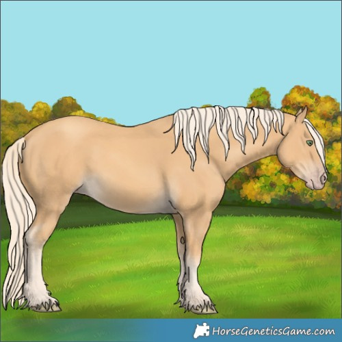 Horse Color:Gold Cream Champagne 