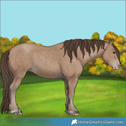 Horse Color:Classic Champagne 
