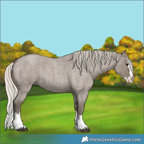 Horse Color:Silver Smoky Grullo Roan Splash