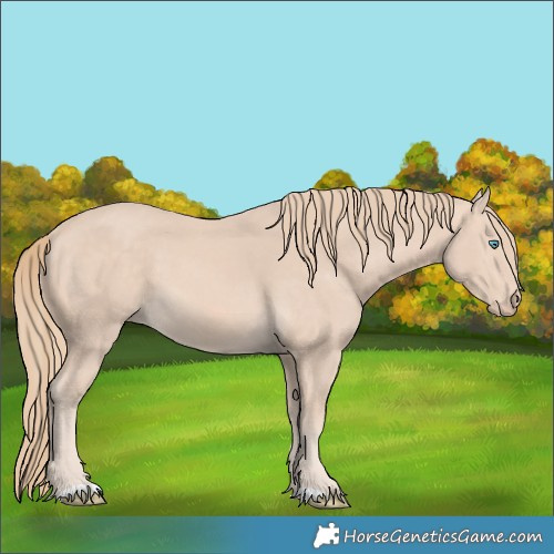 Horse Color:Perlino