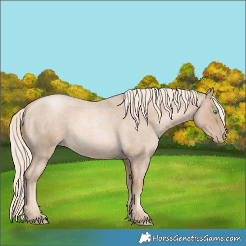 Horse Color:Chocolate Palomino Roan Pearl 