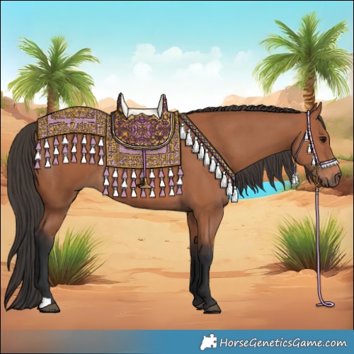 Horse Color:Bay Rabicano 