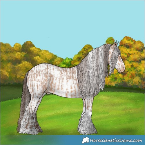 Horse Color:Amber Champagne Sabino Tobiano Appaloosa  and Amber Champagne Sabino Tobiano Frame Appaloosa 