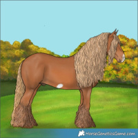 Horse Color:Chestnut Frame 