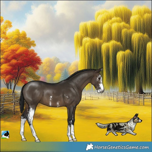 Horse Color:Gray Brown Dun Sabino 