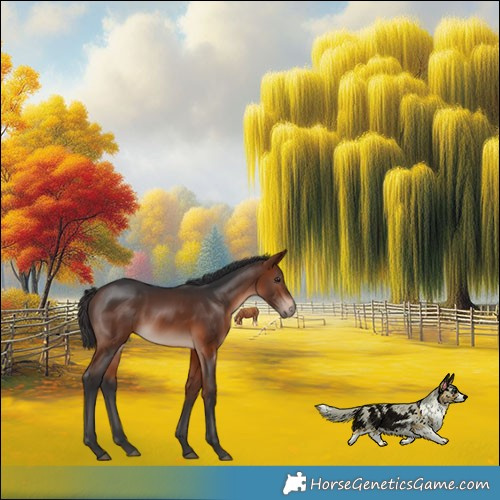 Horse Color:Bay Mushroom 