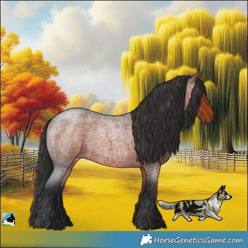 Horse Color:Brown Roan