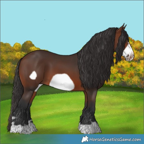 Horse Color:Brown Frame