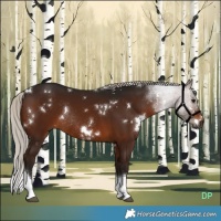Horse Color:Gray White Spotted Silver Bay Tobiano Rabicano