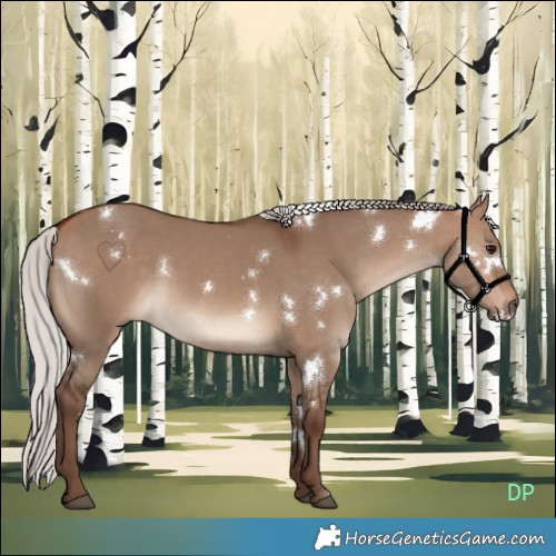 Horse Color:White Spotted Silver Bay Dun 
