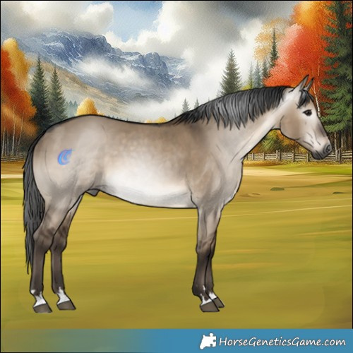 Horse Color:Gray Brown Dun 