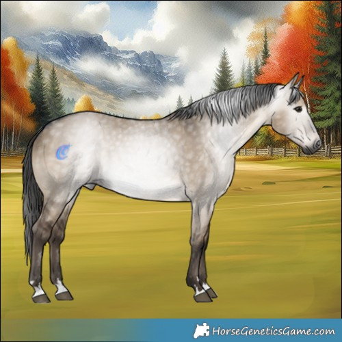 Horse Color:Gray Brown Dun 