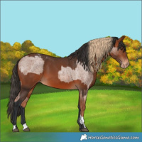 Horse Color:Blue Roan Tobiano Varnish  and Bay Varnish 