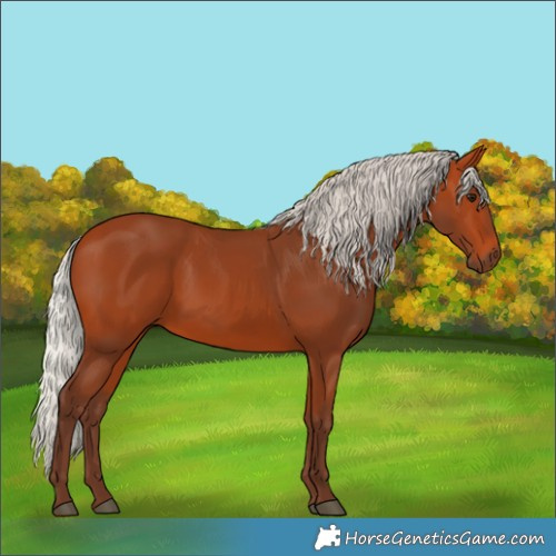 Horse Color:Silver Bay 