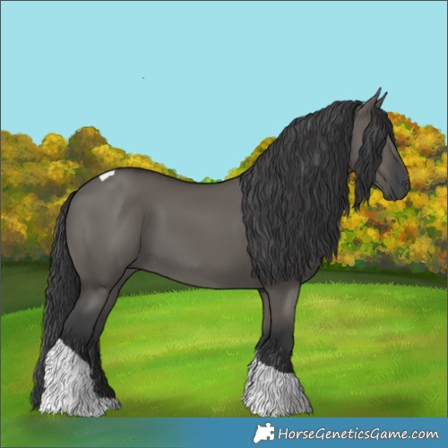 Horse Color:Grullo Tobiano 