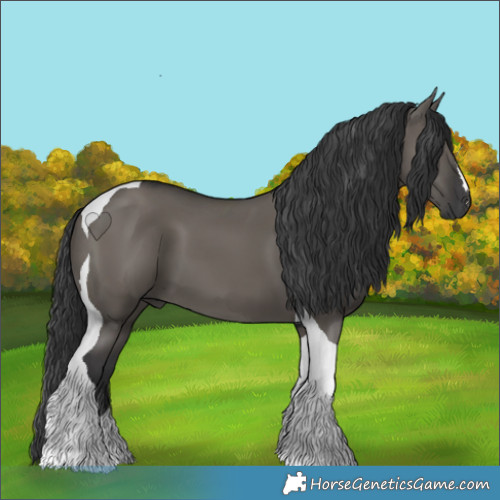 Horse Color:Grullo Tobiano