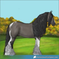 Horse Color:Grullo Tobiano