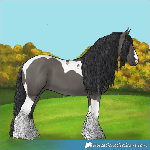 Horse Color:Grullo Tobiano