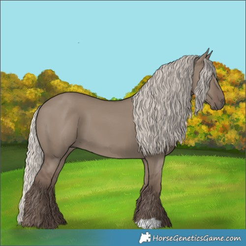 Horse Color:Silver Grullo 