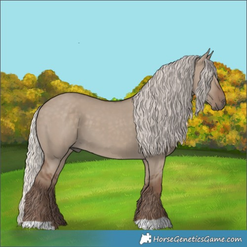 Horse Color:Silver Grullo 