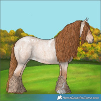 Horse Color:White Spotted Red Roan 