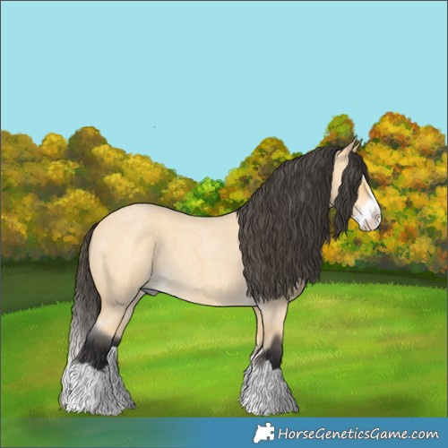 Horse Color:Buckskin Roan Splash 