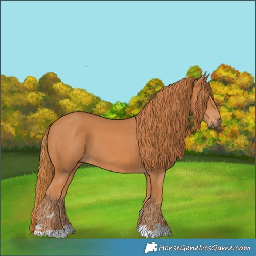 Horse Color:Chestnut 