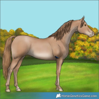 Horse Color:Black Pearl 