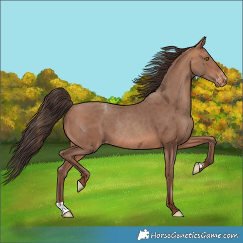 Horse Color:Sable Champagne Varnish Rabicano 
