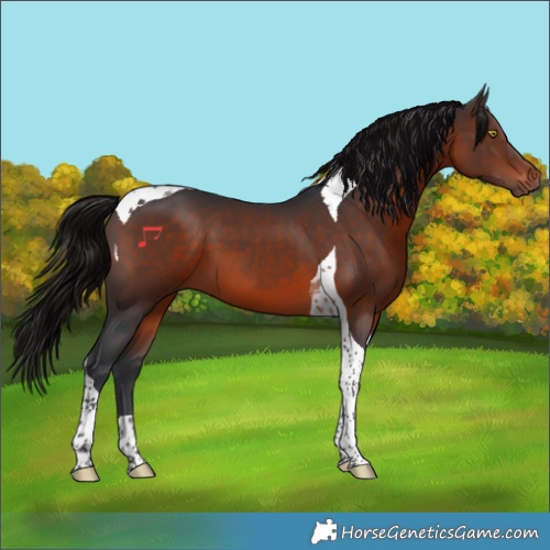 Horse Color:Brown Tobiano 