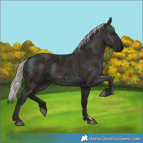 Horse Color:Midnight Silver Grullo Ice 