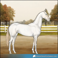 Horse Color:Buckskin Roan Pearl  and Buckskin Roan Pearl 