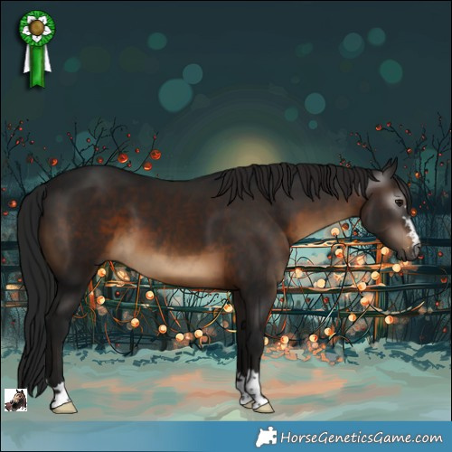 Horse Color:Gray Brown 