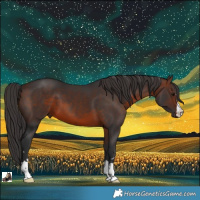 Horse Color:Brown 