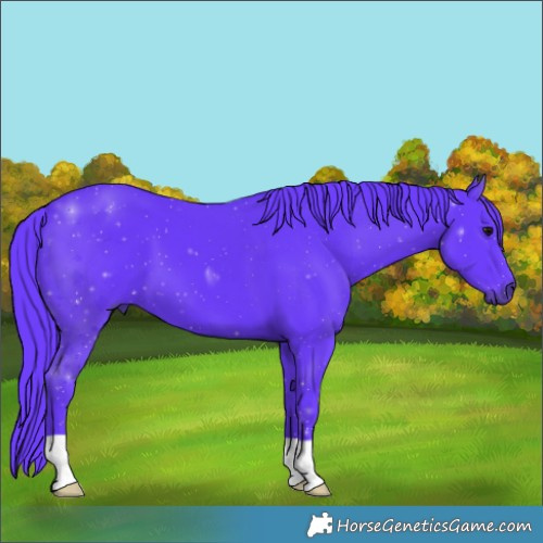 Horse Color:Watercolor Black