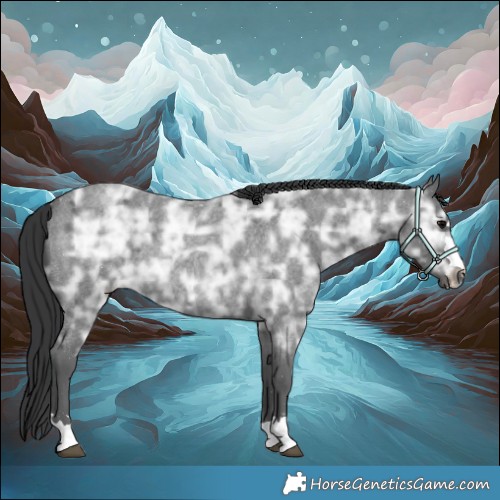 Horse Color:Blue Ice Roan Rabicano