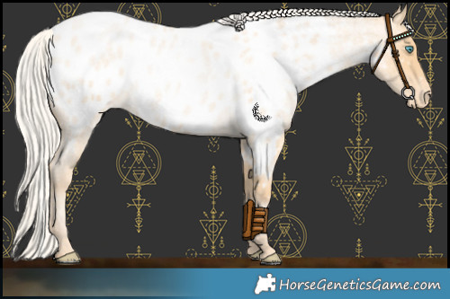 Horse Color:Silver Buckskin Roan Pearl Near Leopard Rabicano 