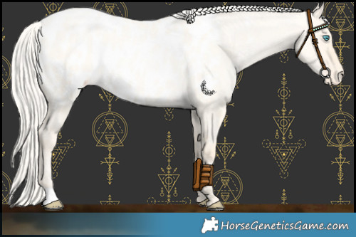 Horse Color:Silver Buckskin Roan Pearl Dun Near Leopard 