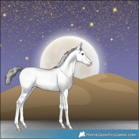 Horse Color:Liver Chestnut Mushroom Sabino 