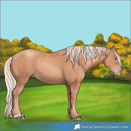 Horse Color:Gold Champagne 