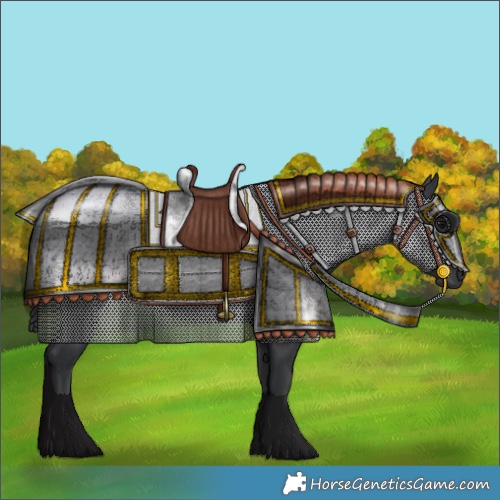 Horse Color:Black Rabicano 