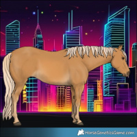 Horse Color:Palomino 