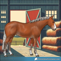 Horse Color:Silver Bay 