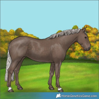 Horse Color:Silver Black 