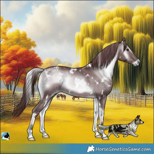 Horse Color:White Spotted Chocolate Blue Onyx Chinchilla Rabicano 
